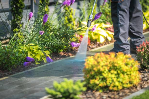 Best Sidewalk and Walkway Pressure Cleaning in Elko New Market, MN